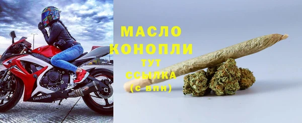 твердый Гусев