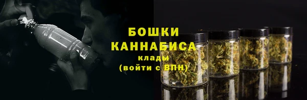 тгк Гусиноозёрск