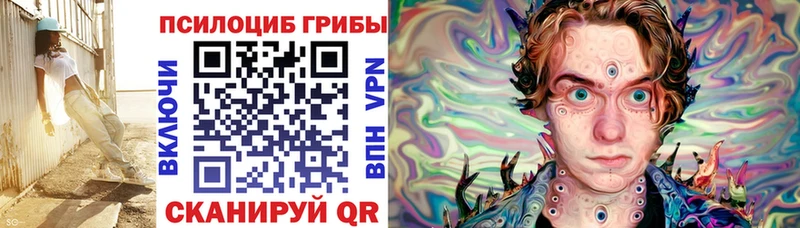Псилоцибиновые грибы Psilocybe  нарко площадка наркотические препараты  Волжск 