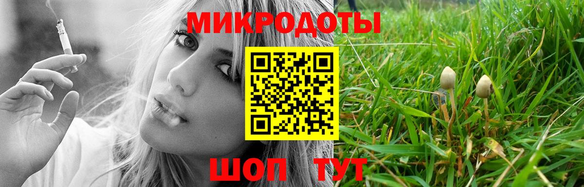 Волжск  Галлюциногенные грибы GOLDEN TEACHER  Вход с VPN 