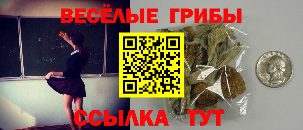 Галлюциногенные грибы MAGIC MUSHROOMS  Псилоцибиновые грибы ЛСД  Волжск 