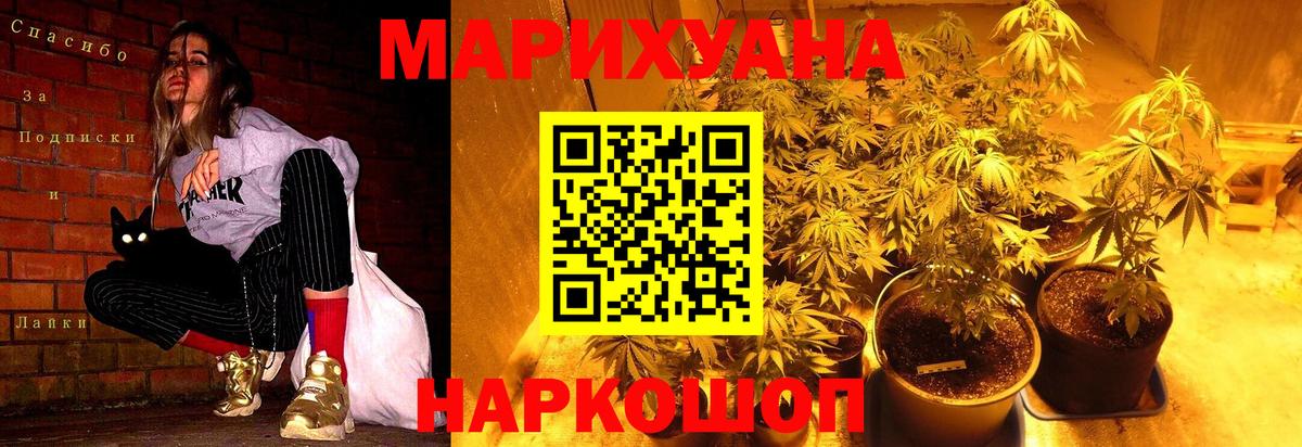 Бошки марихуана план Волжск
